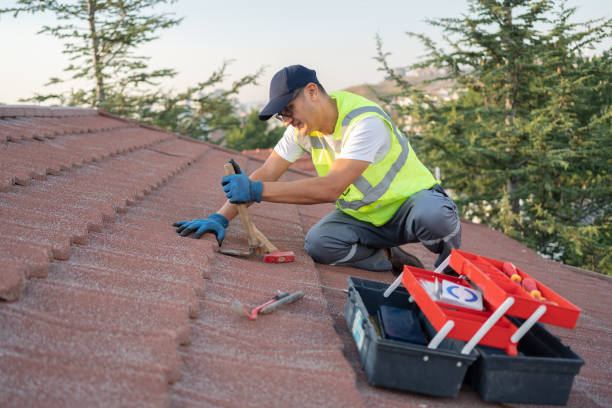 Best Roof Maintenance Services  in Nevada City, CA