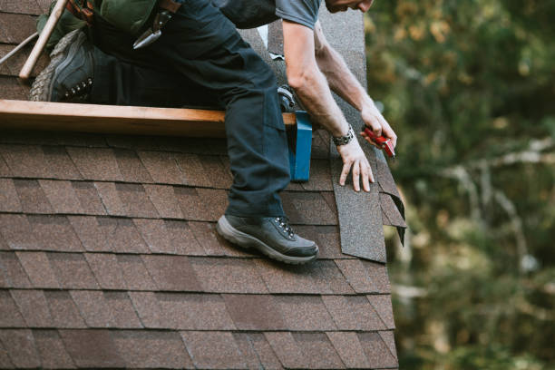 Best Gutter Installation and Roofing  in Nevada City, CA